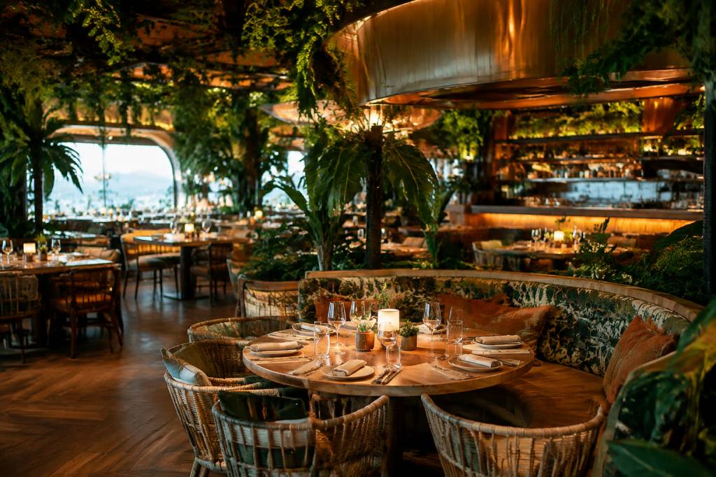 Amazonico Monaco : chiffres clés et analyse d’un restaurant emblématique de la Principauté